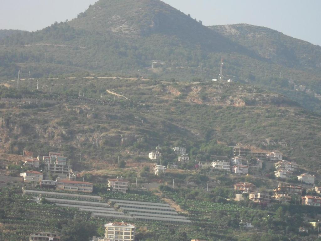 Hotel Yildirimoglu Alanya Zimmer foto