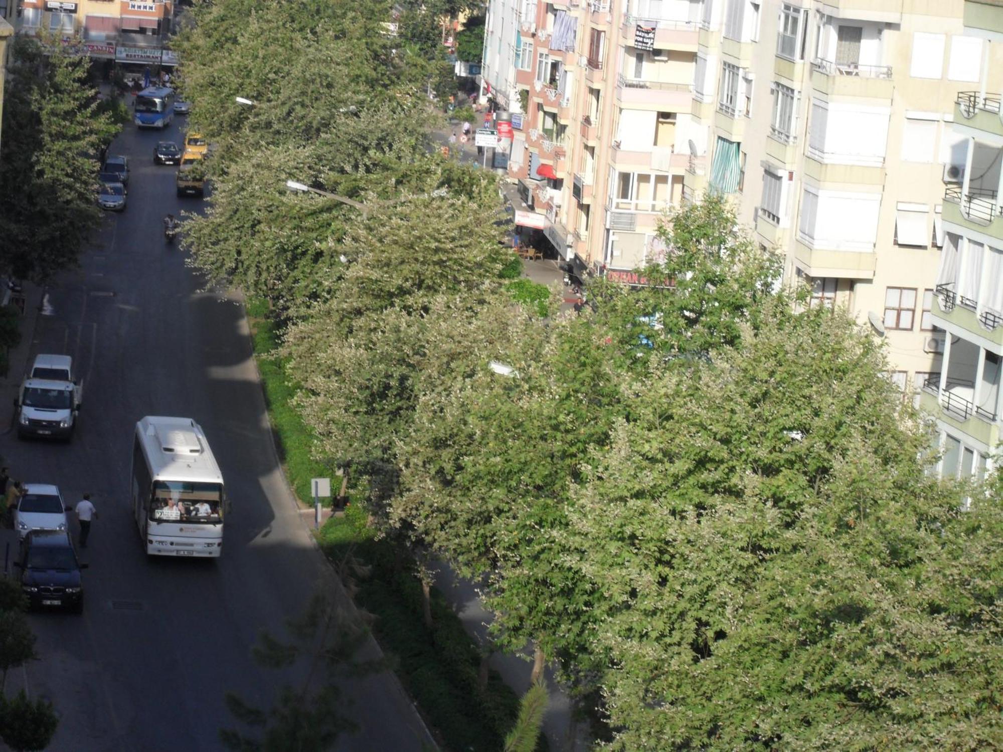 Hotel Yildirimoglu Alanya Exterior foto